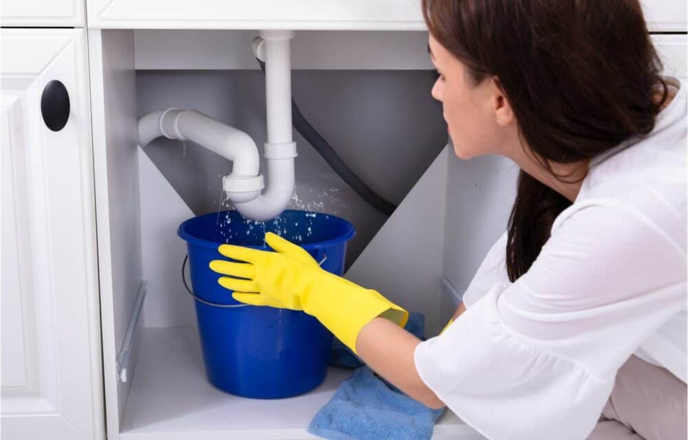 How To Find A Leak Under The Kitchen Sink (and Prevent Water Damage)