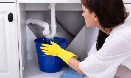 How To Find A Leak Under The Kitchen Sink (and Prevent Water Damage)
