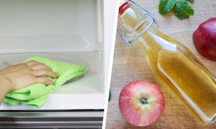 Guide for How to Clean a Microwave with Apple Cider Vinegar