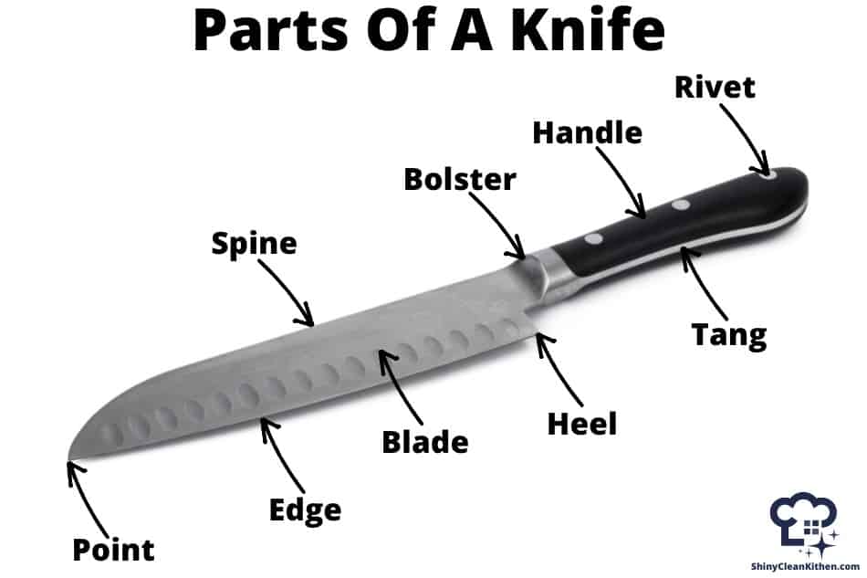 Parts of a Kitchen Knife