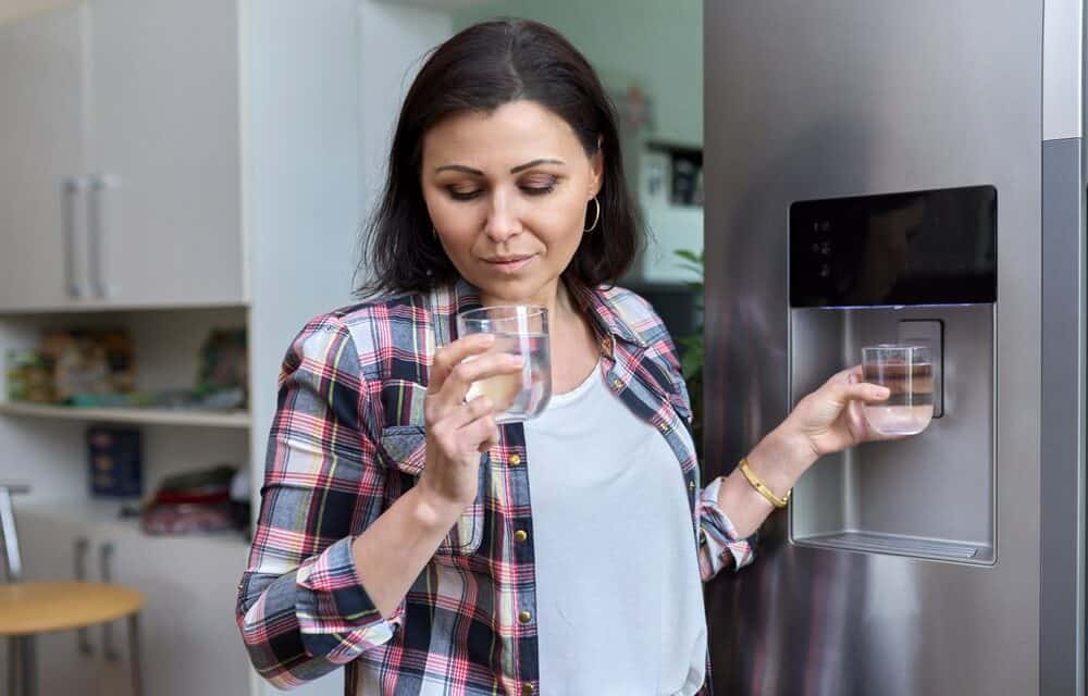 Are Refrigerator Water Filters Necessary? (Fridge Water Systems Explained)