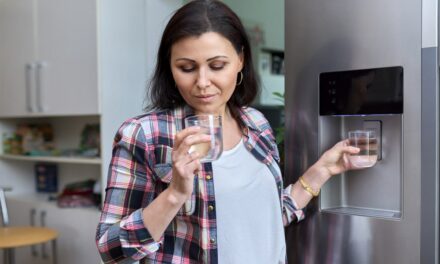 Are Refrigerator Water Filters Necessary? (Fridge Water Systems Explained)