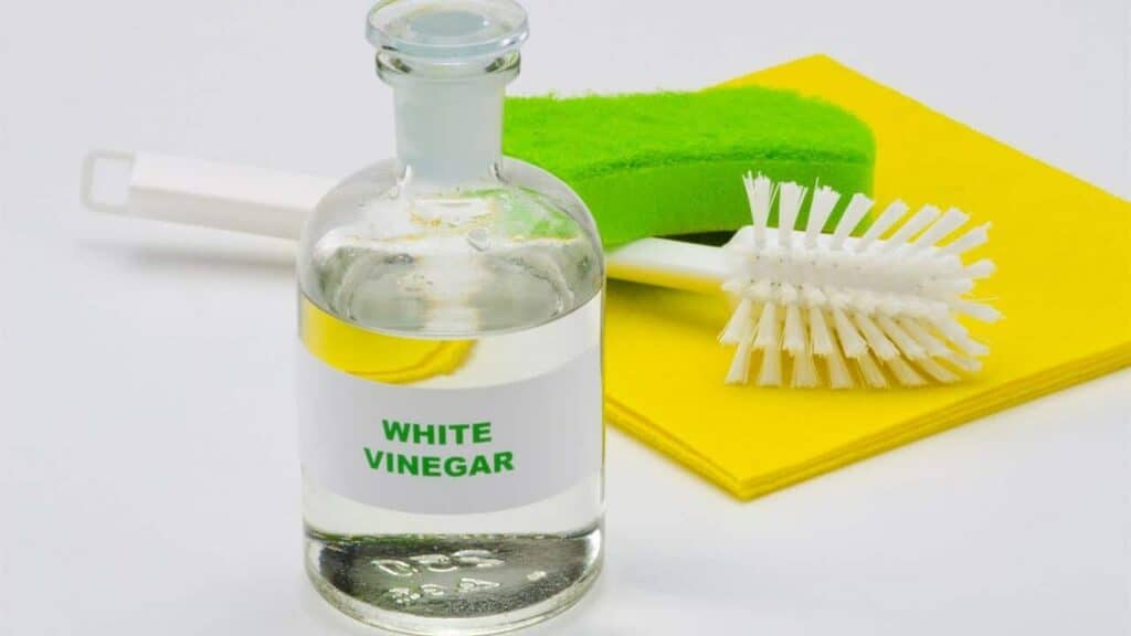 How to Clean a Coffee Pot with White Vinegar 2 Methods Shiny Clean